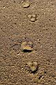 20090603_155415 D3 X1